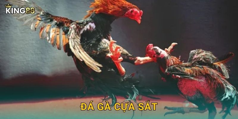 Đá Gà Cựa Sắt King88 bg – Quyết Liệt Từng Hiệp