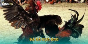 Đá Gà Cựa Dao King88 bg – Nguy Hiểm Nhất Đấu Trường