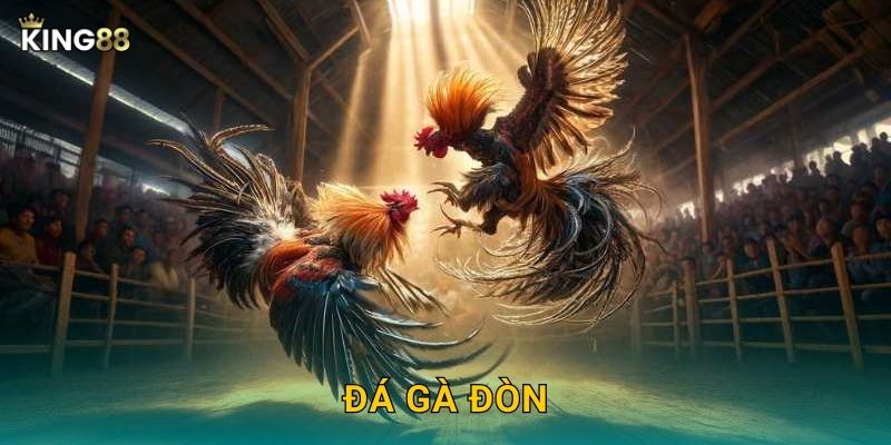 Đá Gà Đòn King88 bg – Nghệ Thuật Võ Thuật Gà