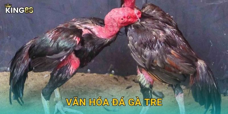 Văn hóa đá gà tre
