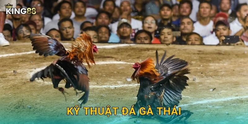 Kỹ thuật đá gà Thái