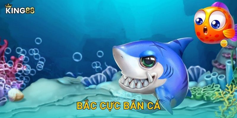 Bắc Cực Bắn Cá King88 bg – Thám Hiểm Miền Bắc